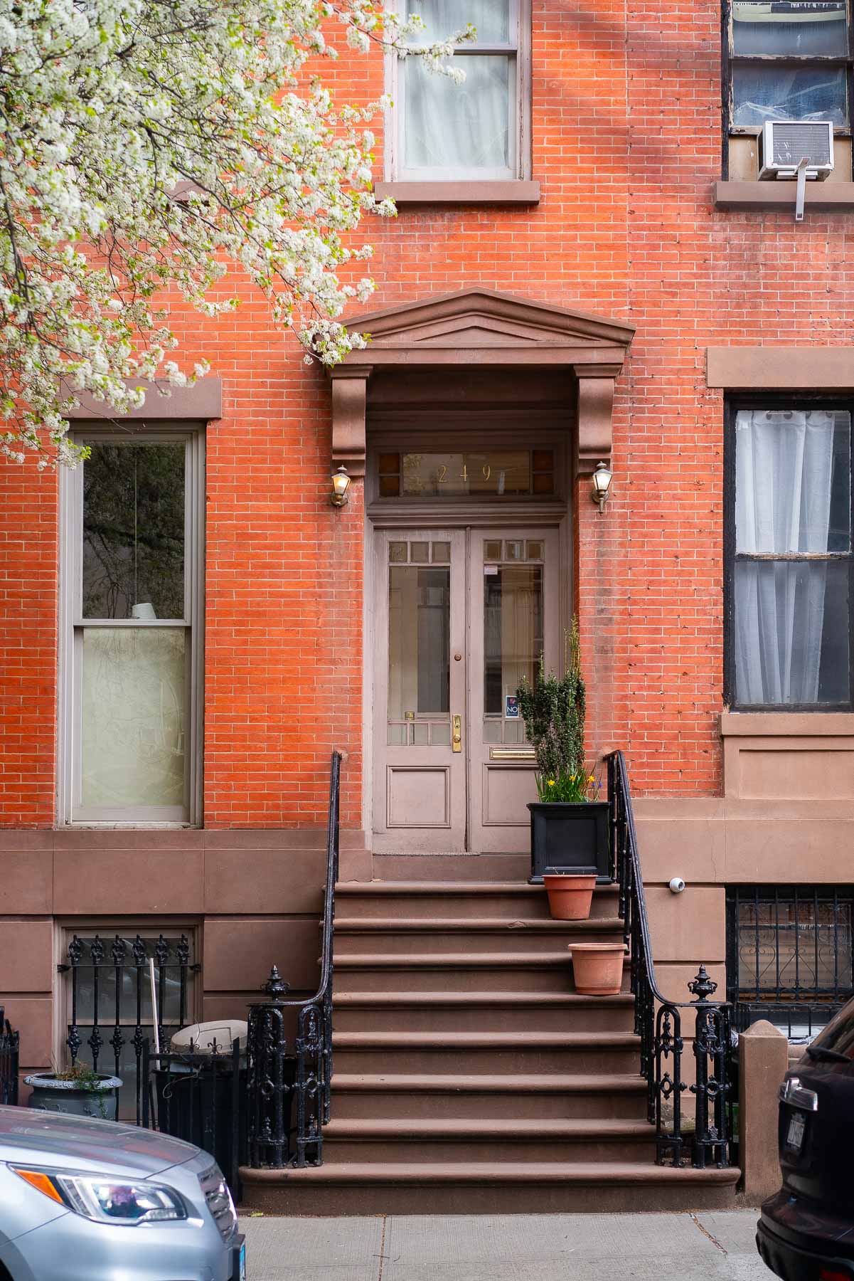 A clean stoop with three planters leading to a brick rowhouse in Cobble Hill, Brooklyn with a white cherry blossom tree branch poking in on the top left corner